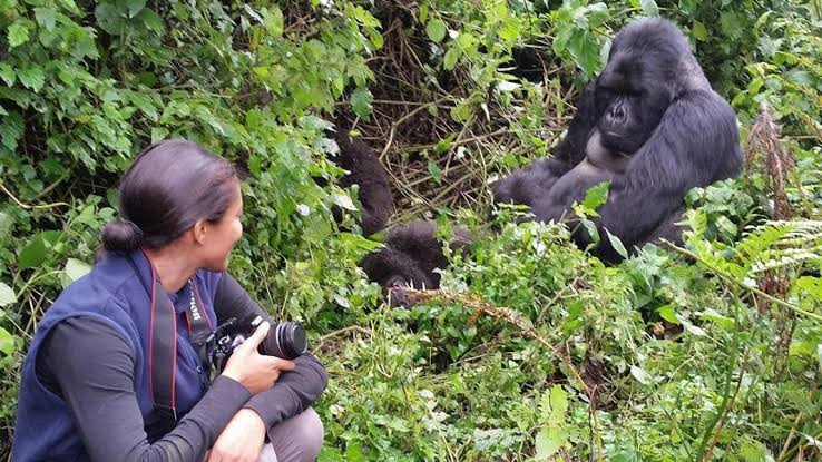 Gorilla Trekking in Bwindi