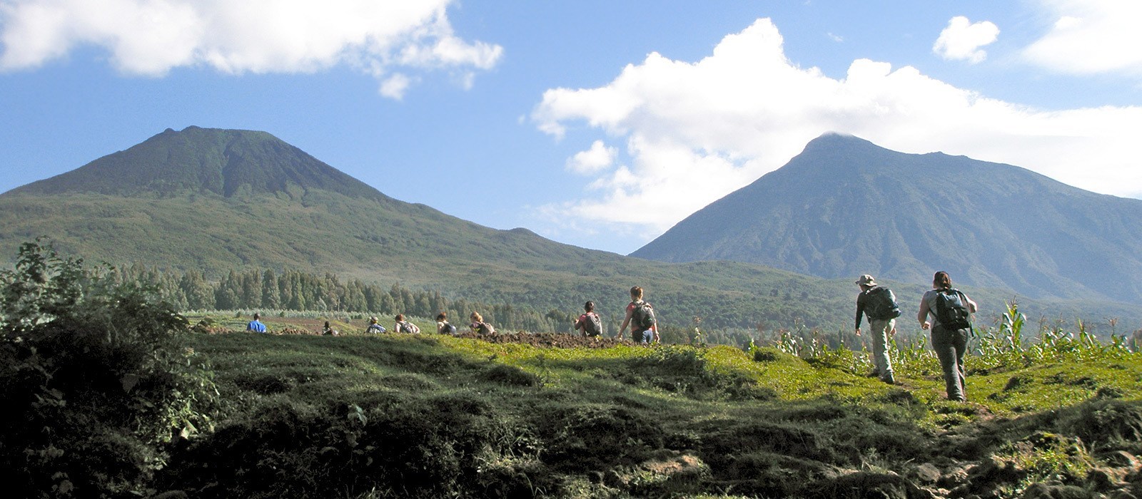 The most iconic experience in Luxury Rwanda Honeymoon Safaris is gorilla trekking in Volcanoes National Park. Couples journey through mist-covered forests guided by expert trackers until they come face to face with a 