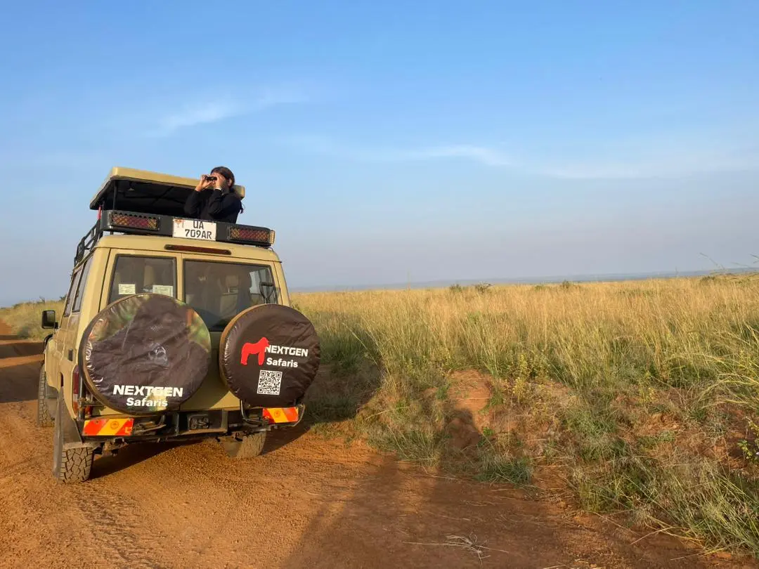 The most popular answer to the Best Time for a Uganda Honeymoon Safari is the long dry season from June to September. During this period, Uganda experiences minimal rainfall, making travel 