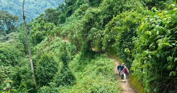 Kigali Honeymoon Experiences 1