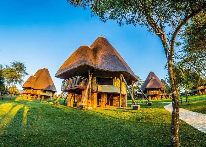 Lake Mburo Fly-In Honeymoon Escapes