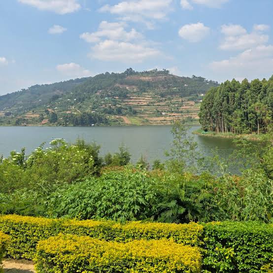Lakeview and Island Lodges Lake Bunyonyi