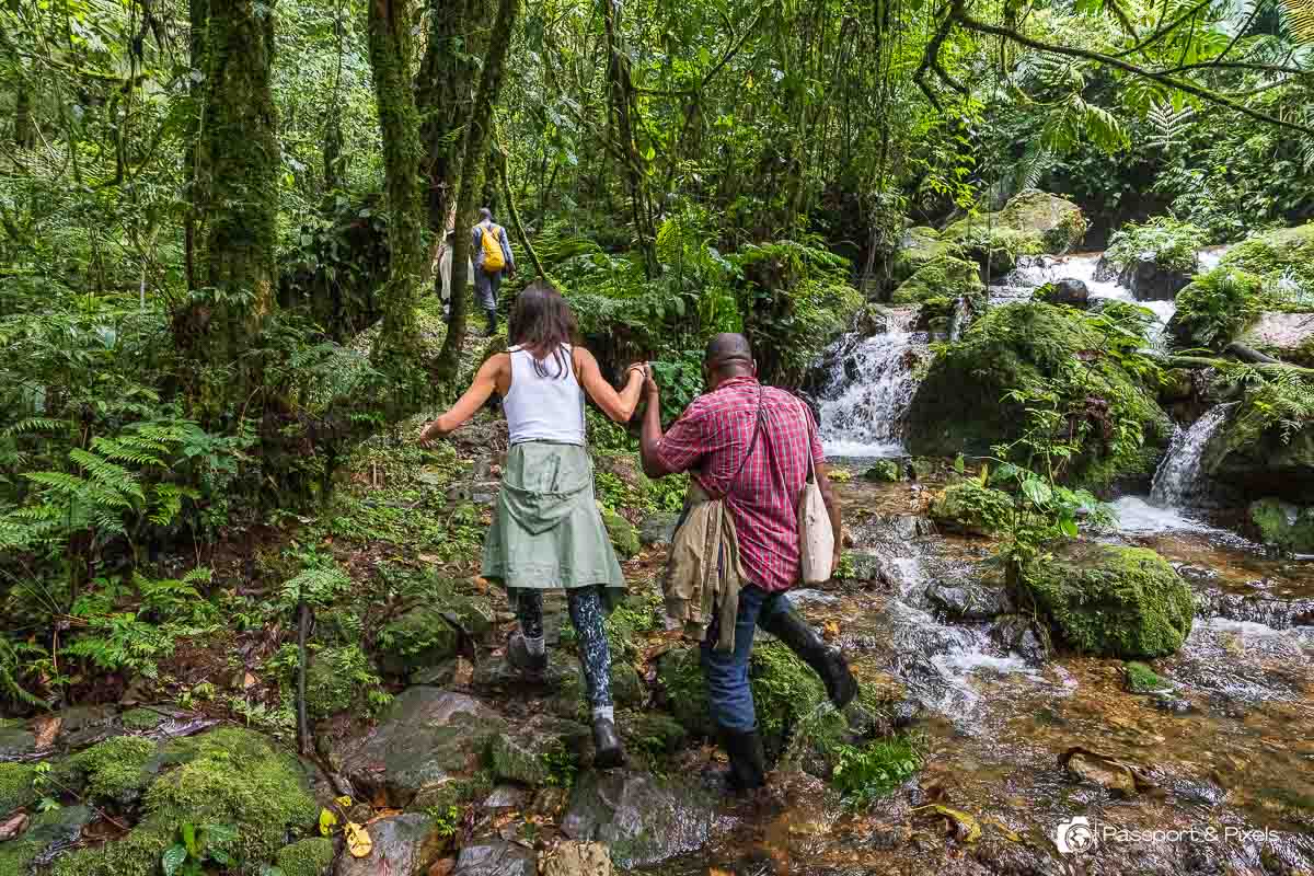 Luxury Experiences That Enhance Every Itinerary