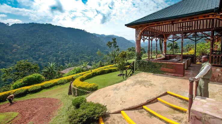 Luxury Fly-In Gorilla Trekking Honeymoons