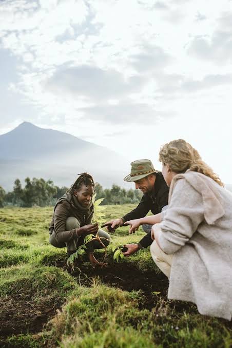 Luxury Rwanda Honeymoon Safari Itineraries