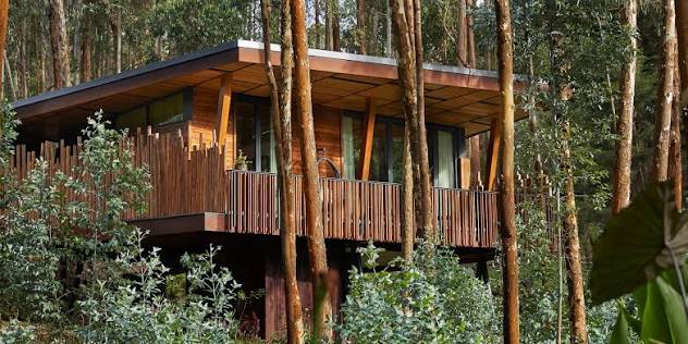 One&Only Gorilla's Nest is a stylish forest retreat set among eucalyptus trees, offering a luxurious yet nature-immersed honeymoon experience. Couples enjoy spacious suites and villas with private decks, outdoor showers, and tranquil forest views. The lodge focuses on wellness and relaxation, 