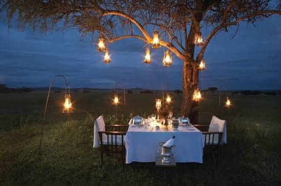 Romantic Forest Dining Uganda Honeymoon
