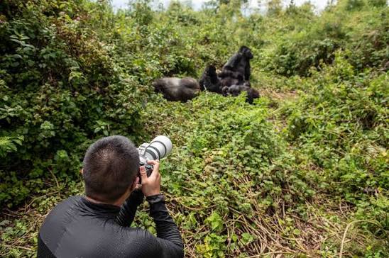 Private Wildlife Viewing and Photography 1