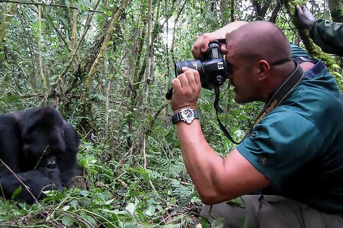 Private Wildlife Viewing and Photography