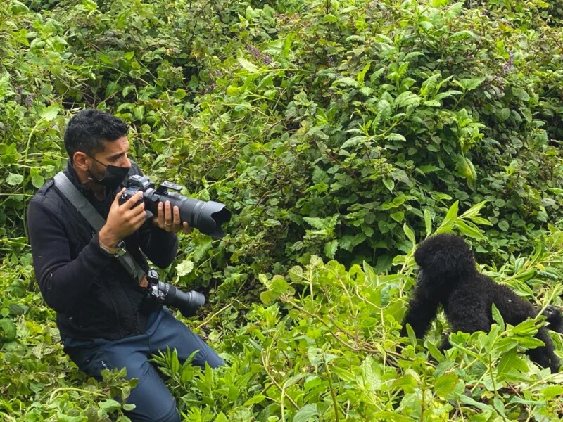 Private Wildlife Viewing and Photography WebP