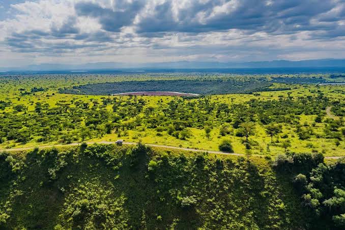 Queen Elizabeth National Park Classic Savannah Romance