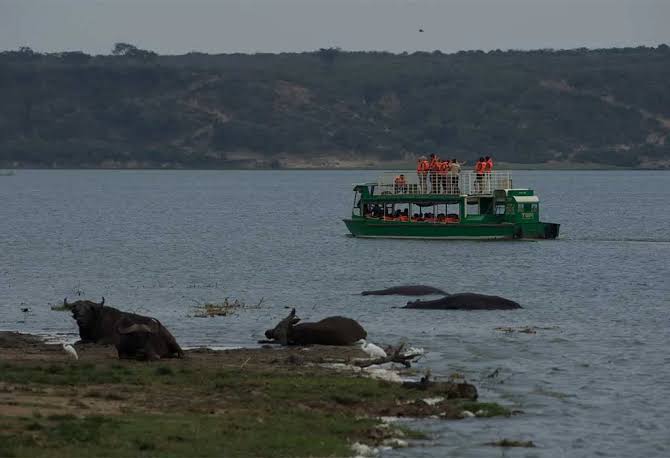 Queen Elizabeth National Park Fly-In Honeymoon Experiences