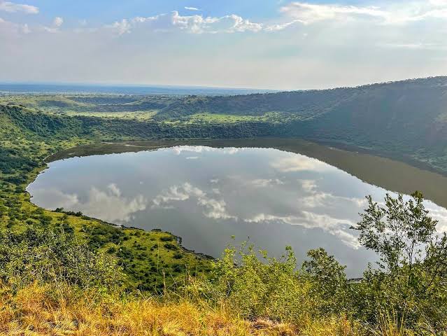 Queen Elizabeth National Park Fly-In Honeymoon Experiences
