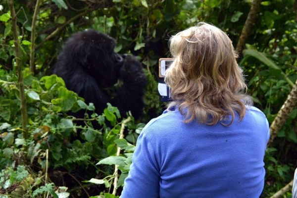 Romantic Gorilla Trekking Experience Volcanoes National Park JPEG