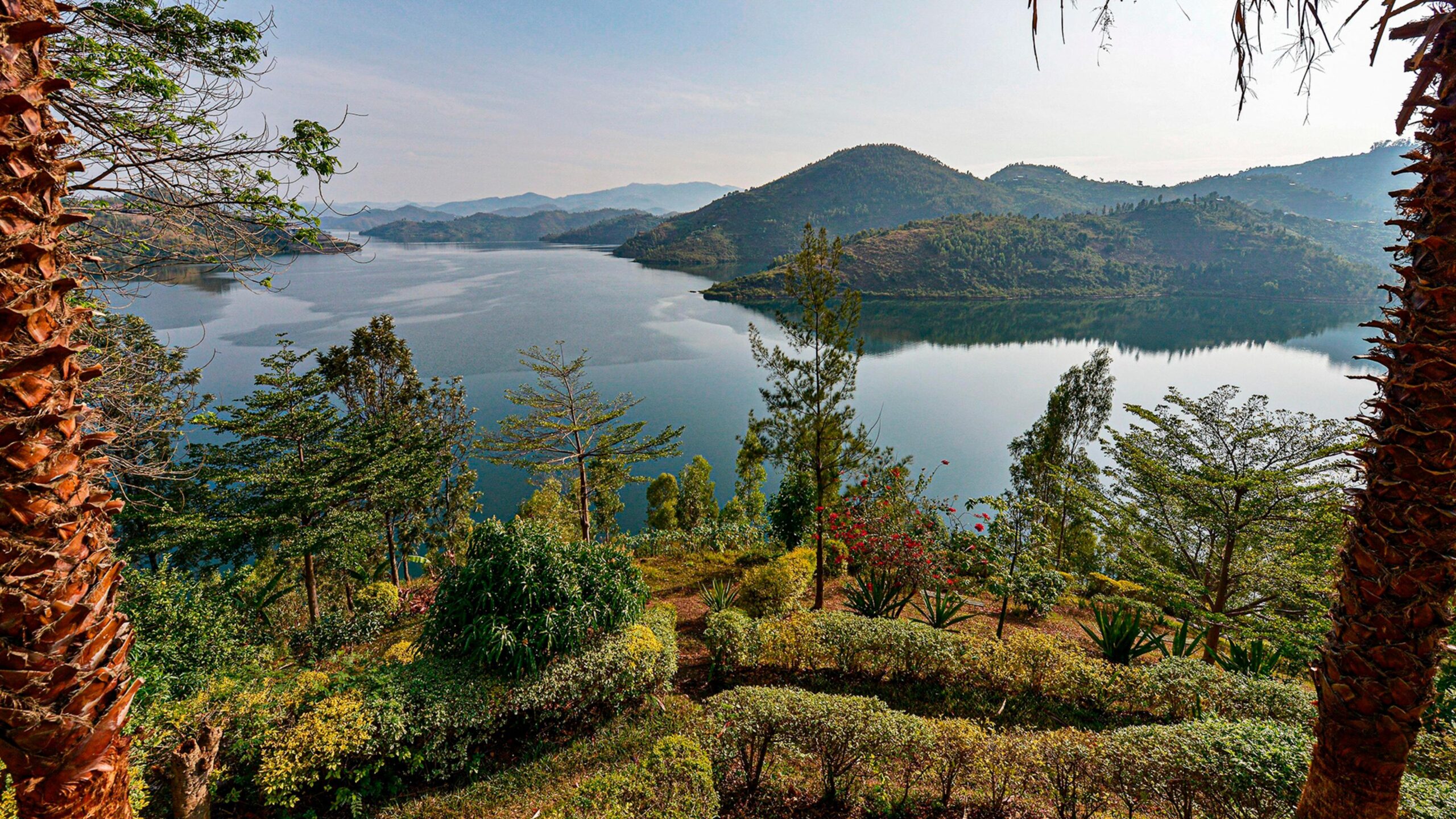 Romantic Services and Experiences