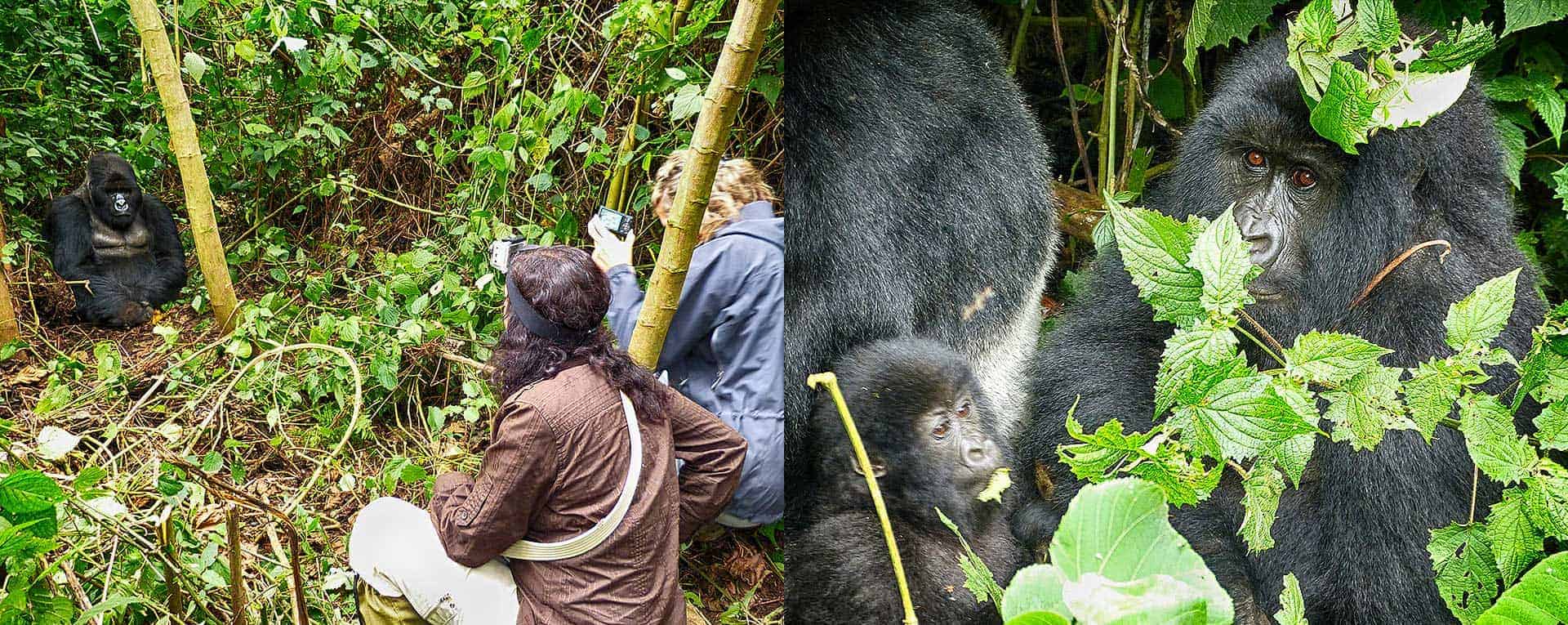 Rwanda Honeymoon Safari Cost 1