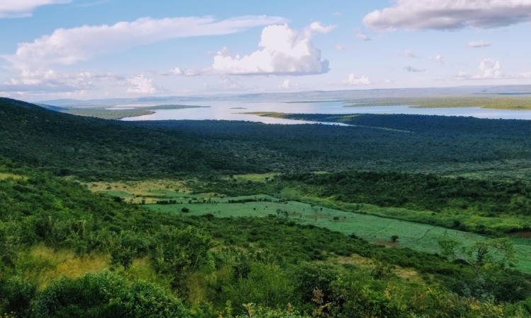 Rwanda Honeymoon Safari Cost