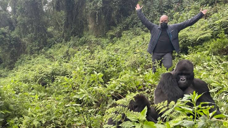 Rwanda Honeymoon Safari Itineraries