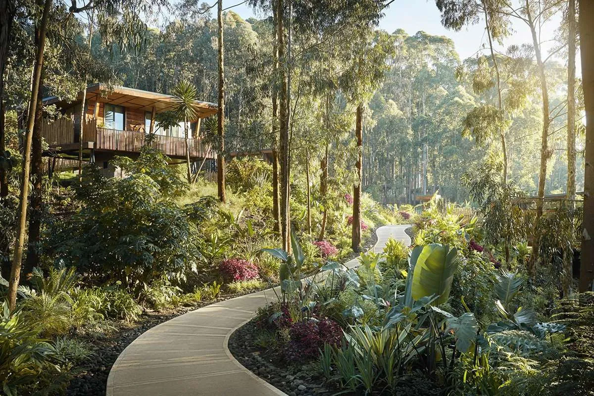 Rwanda Luxury Gorilla Lodges for Couples 2