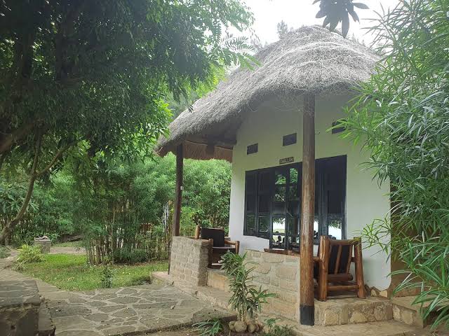 Savannah Lodges Queen Elizabeth and Murchison Falls