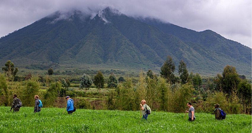 The drive from Kigali to Volcanoes National Park takes approximately two to three hours and offers one of the most beautiful road journeys in Rwanda. Couples travel through rolling green hills, terraced farmland, and charming rural villages that