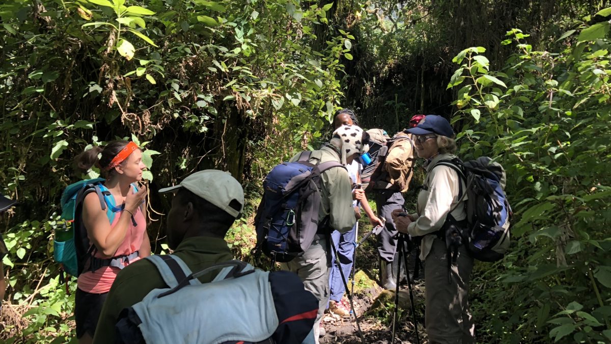 Guided nature walks around Volcanoes National Park offer couples a slower and more