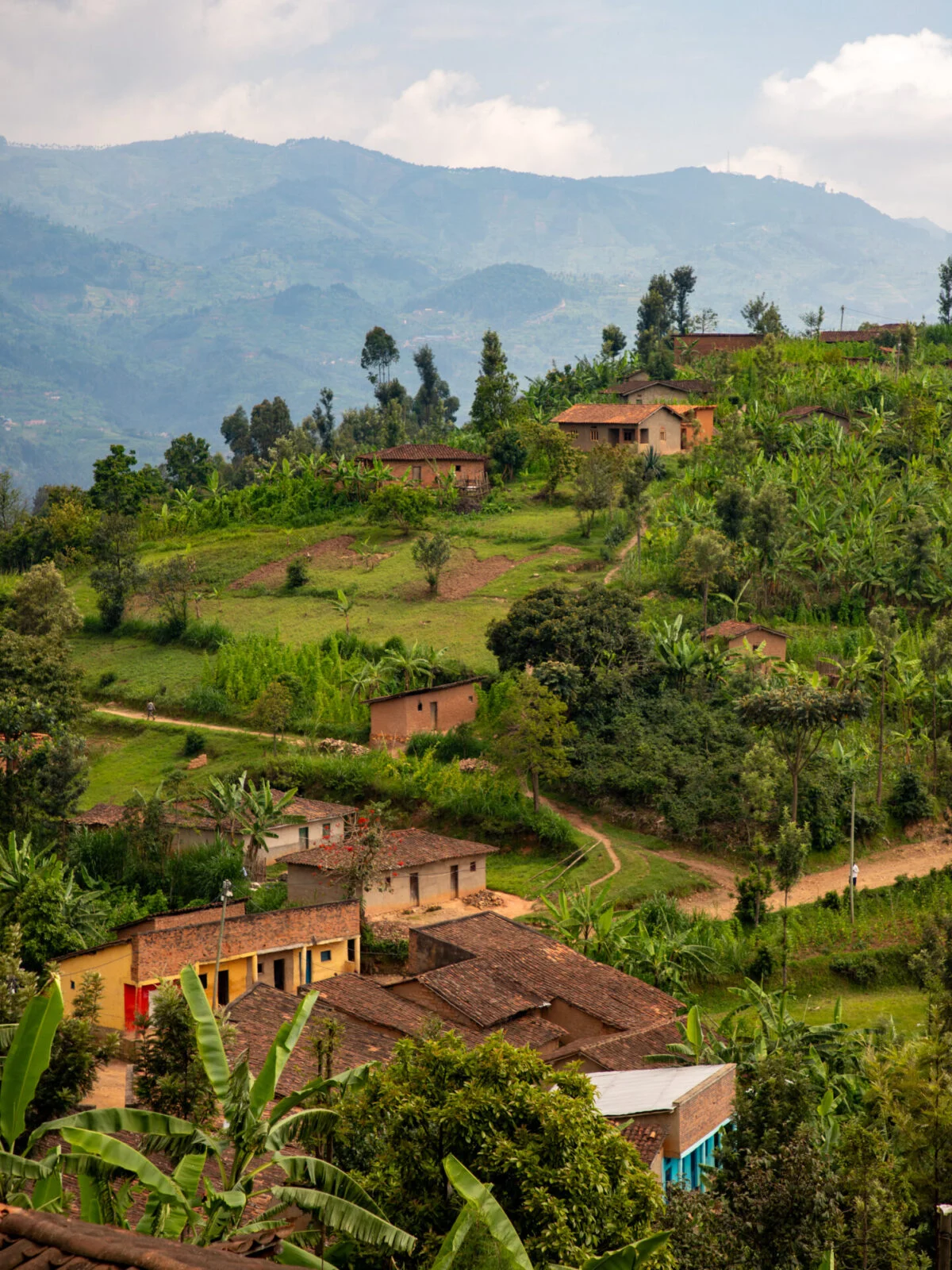 Rwanda Shoulder Seasons WebP