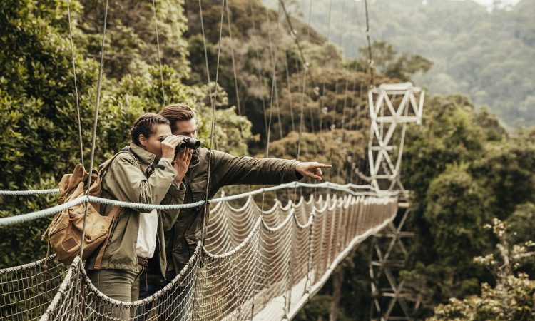 Overall, a Rwanda Honeymoon Safari Guide ensures that every part of the journey is smooth, 
