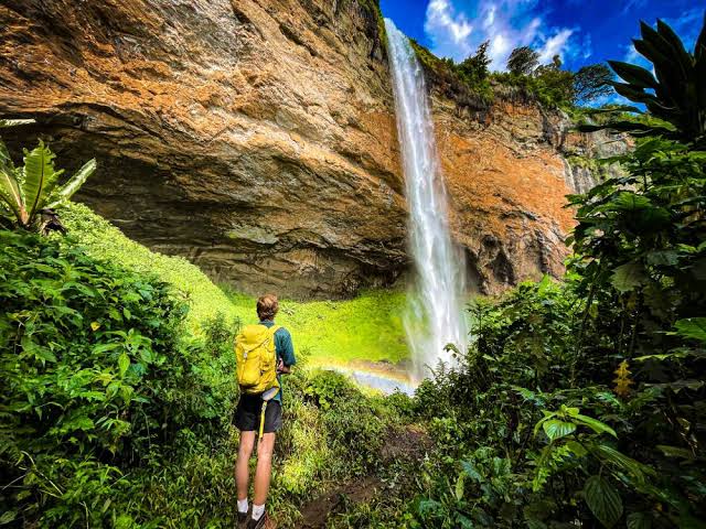 The Romantic Appeal of Uganda's Rainforests