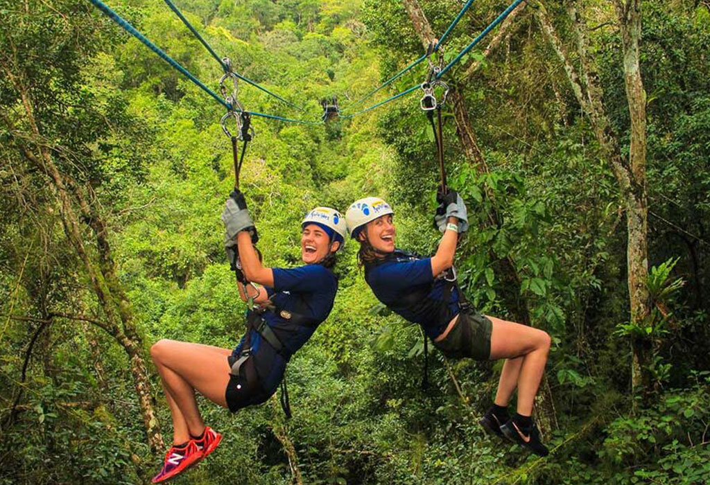 The Romantic Appeal of Uganda's Rainforests