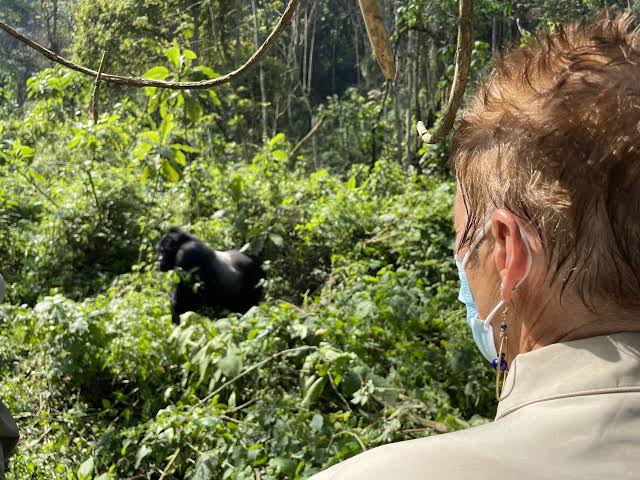 Uganda Gorilla and Wildlife Honeymoon