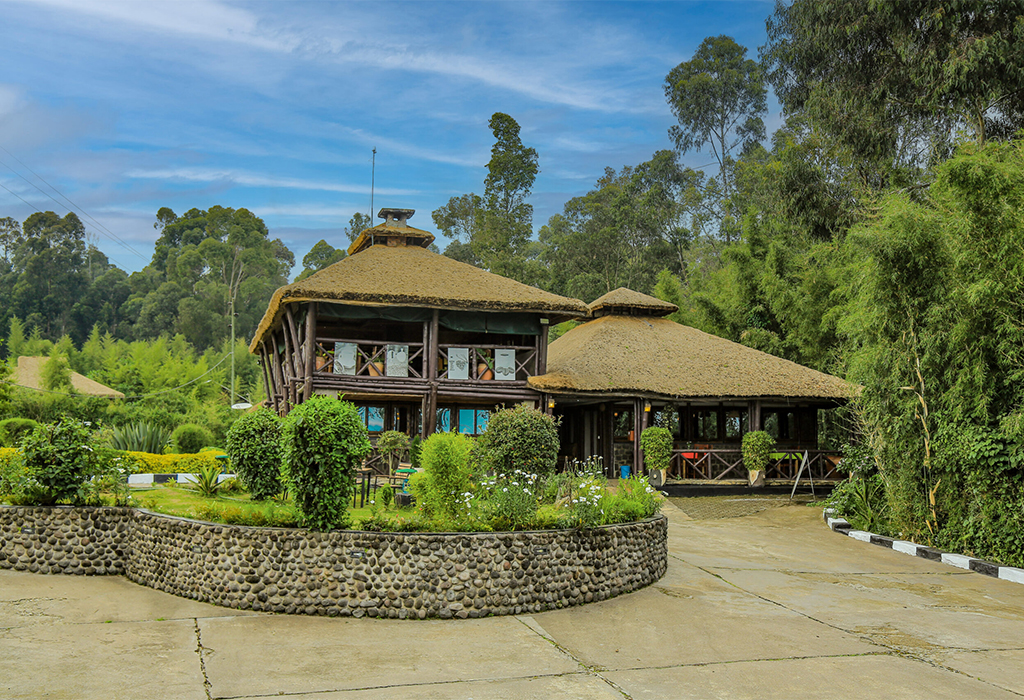 Why Choose Romantic Lodges in Rwanda 1