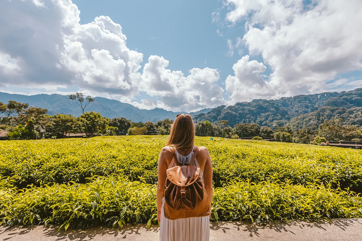 Why Rwanda is Perfect for Budget‑Conscious Honeymooners WebP 1