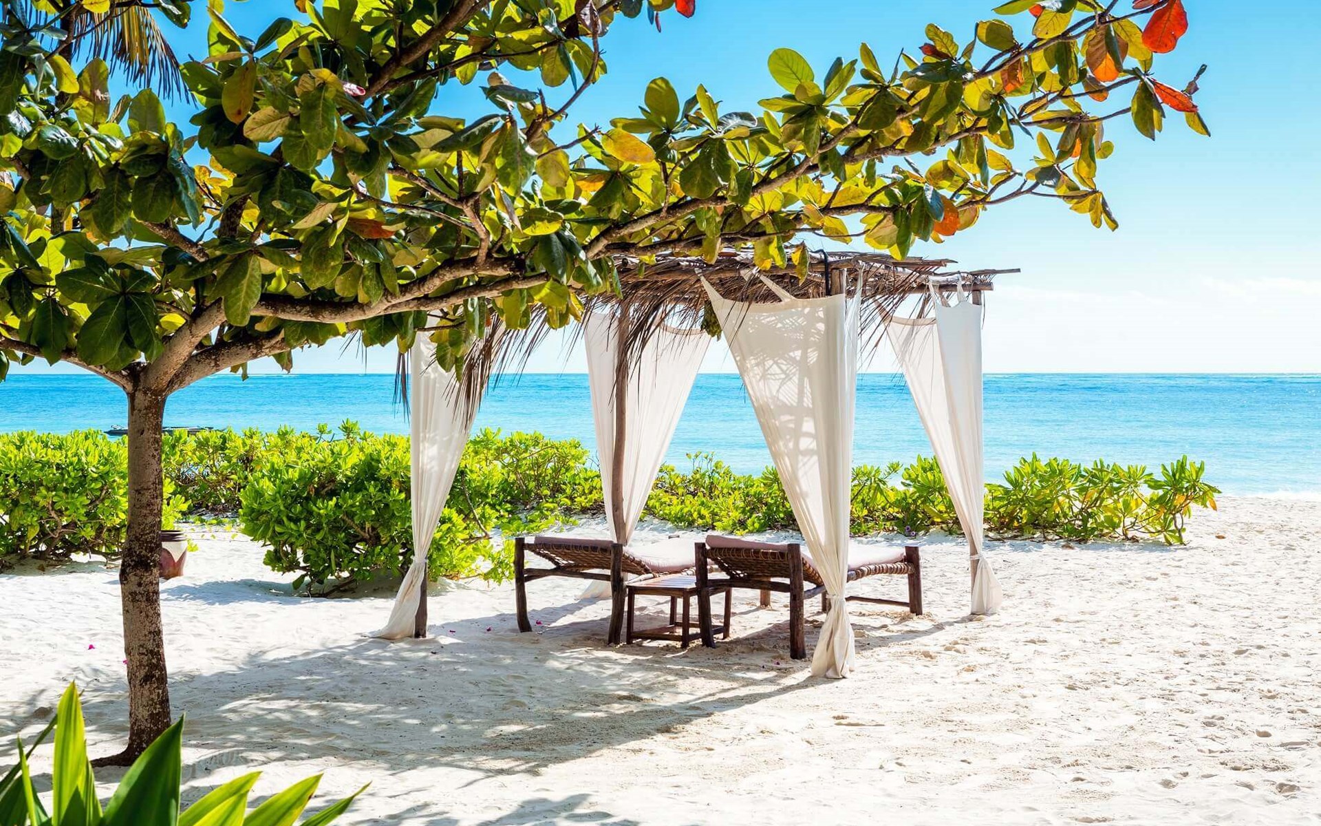 Why This Honeymoon Experience Is Unforgettable JPG