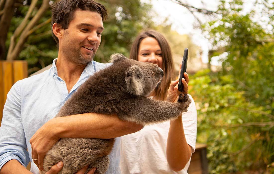 Wildlife Experiences for Couples