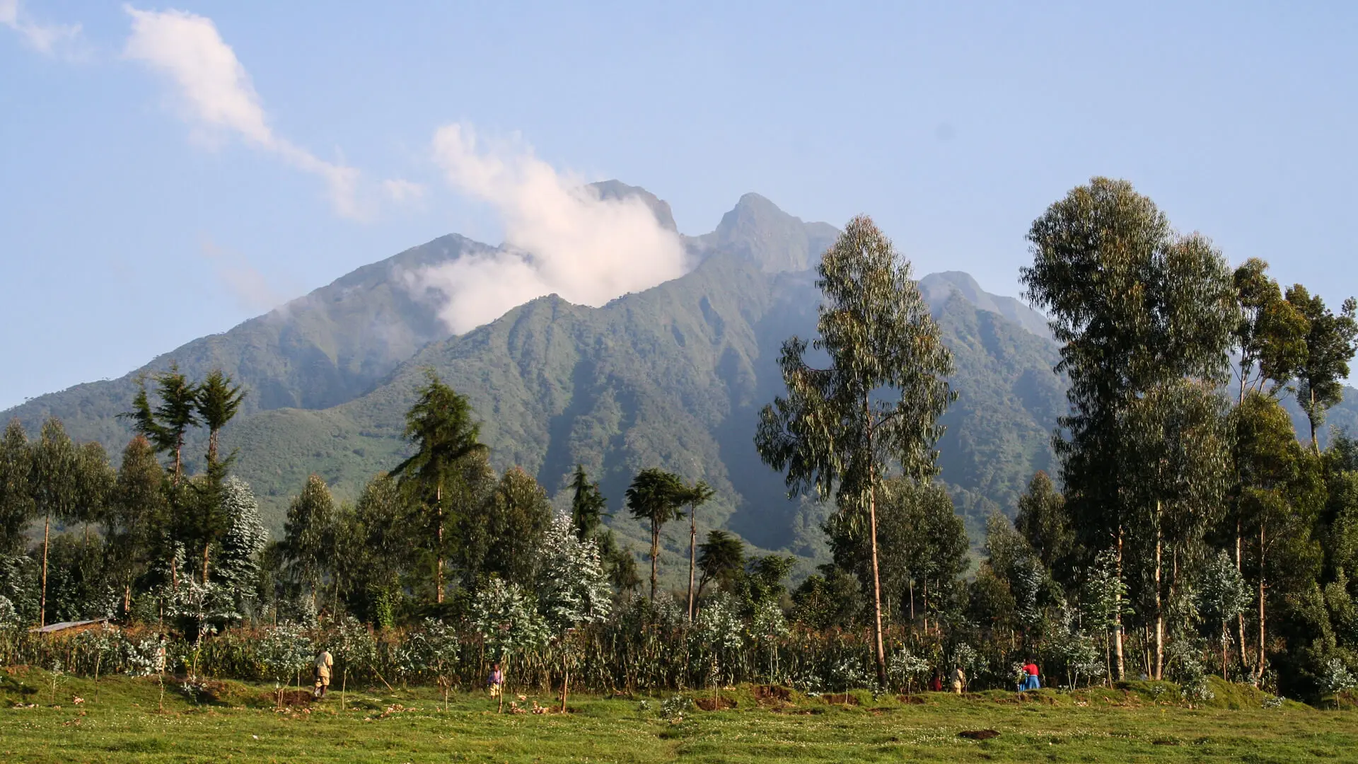 Rwanda remains a year-round destination for honeymooners, with each season offering its own unique charm. Whether during the dry or green