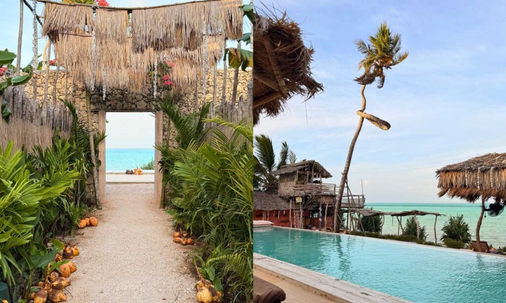 Zanzibar Beach Escape Paradise After Adventure