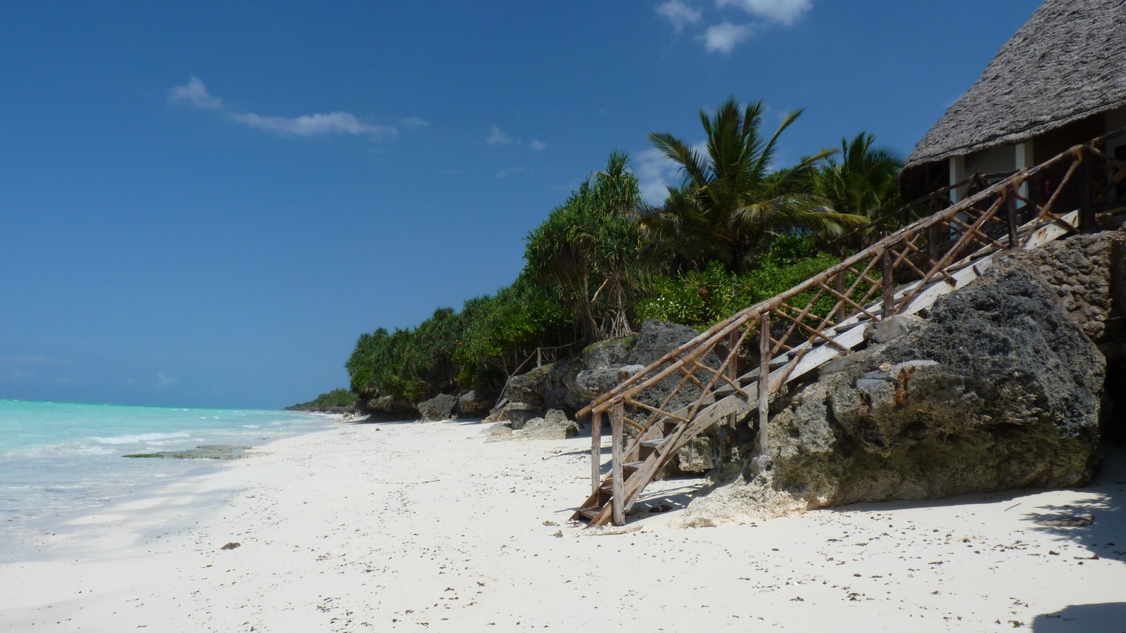 Zanzibar Beach Escape Paradise After Adventure