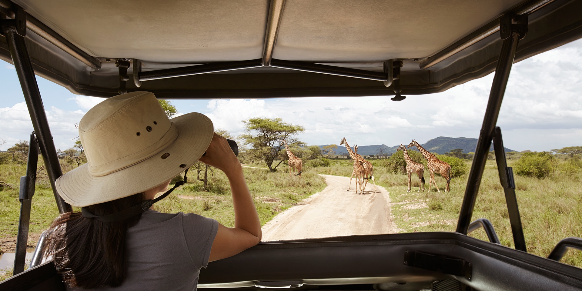 Luxury Anniversary Safari Experience