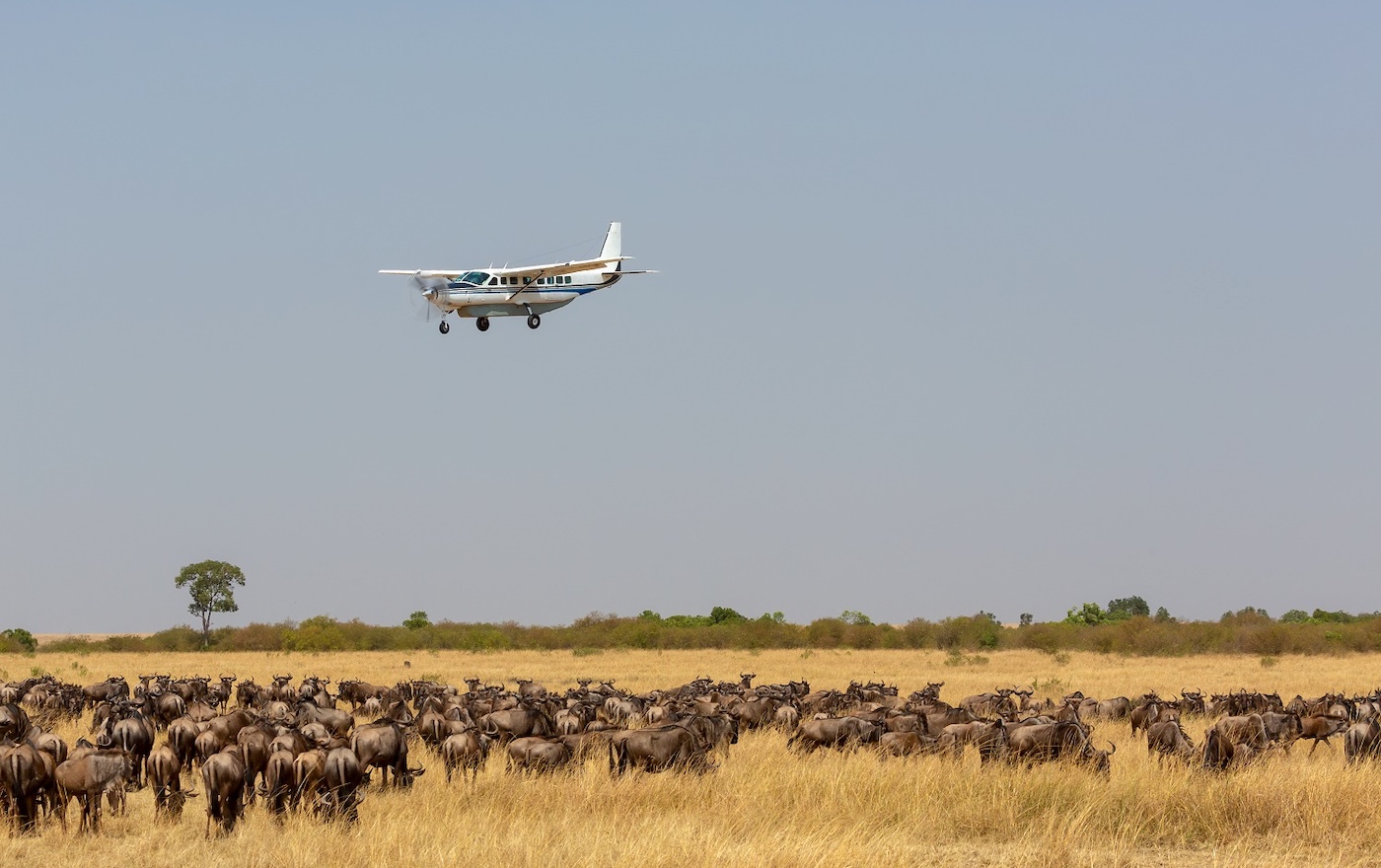 Benefits of Fly‑In Tanzania Honeymoon Safaris JPEG
