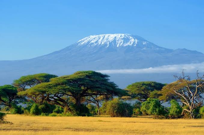 Top Affordable African Honeymoon Safari Destinations