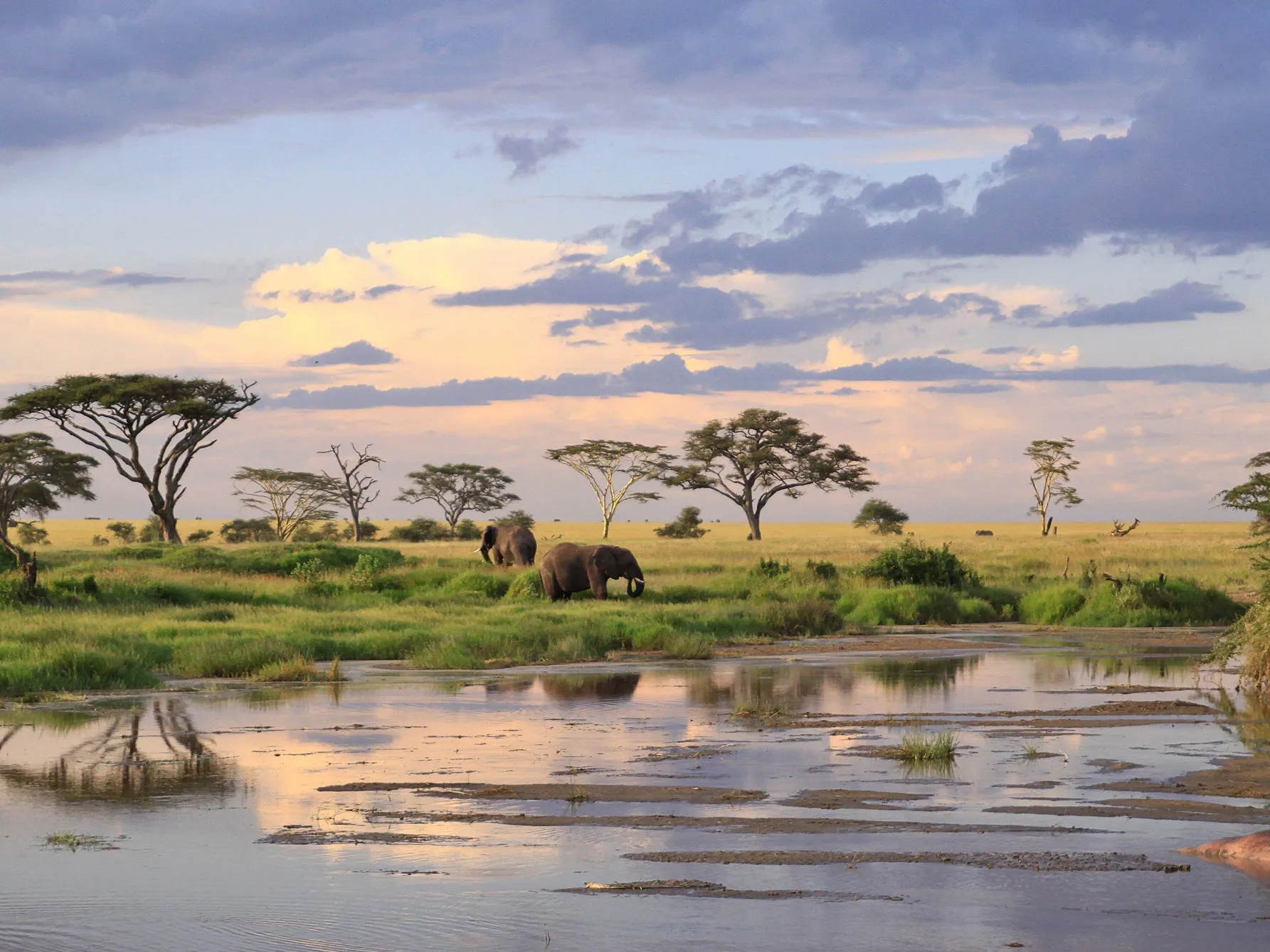 Best Honeymoon Destinations in Tanzania WebP