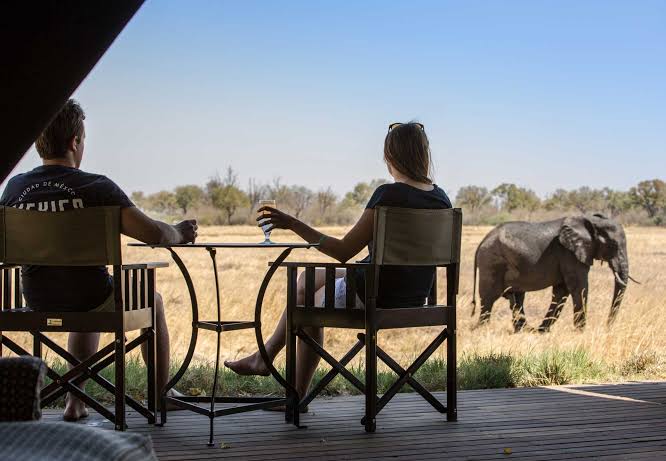 Top Luxury Safari Honeymoon Packages Across Africa