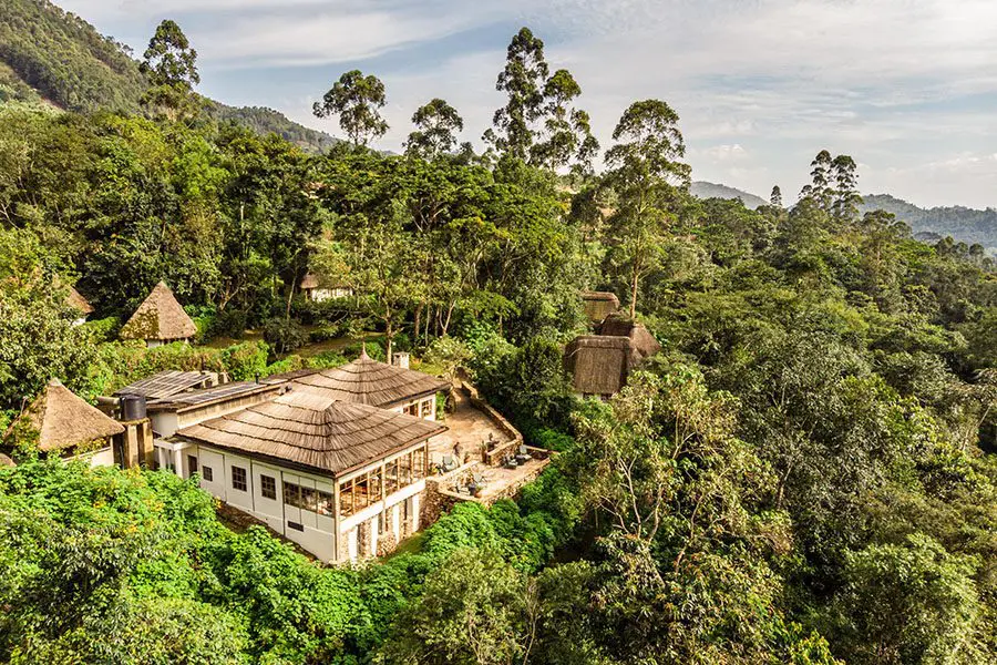 Best Time to Visit for a Uganda vs Rwanda Honeymoon Safari