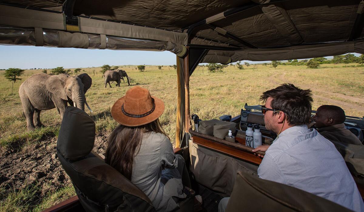 Classic Wildlife Safari Experience for Honeymoon Couples