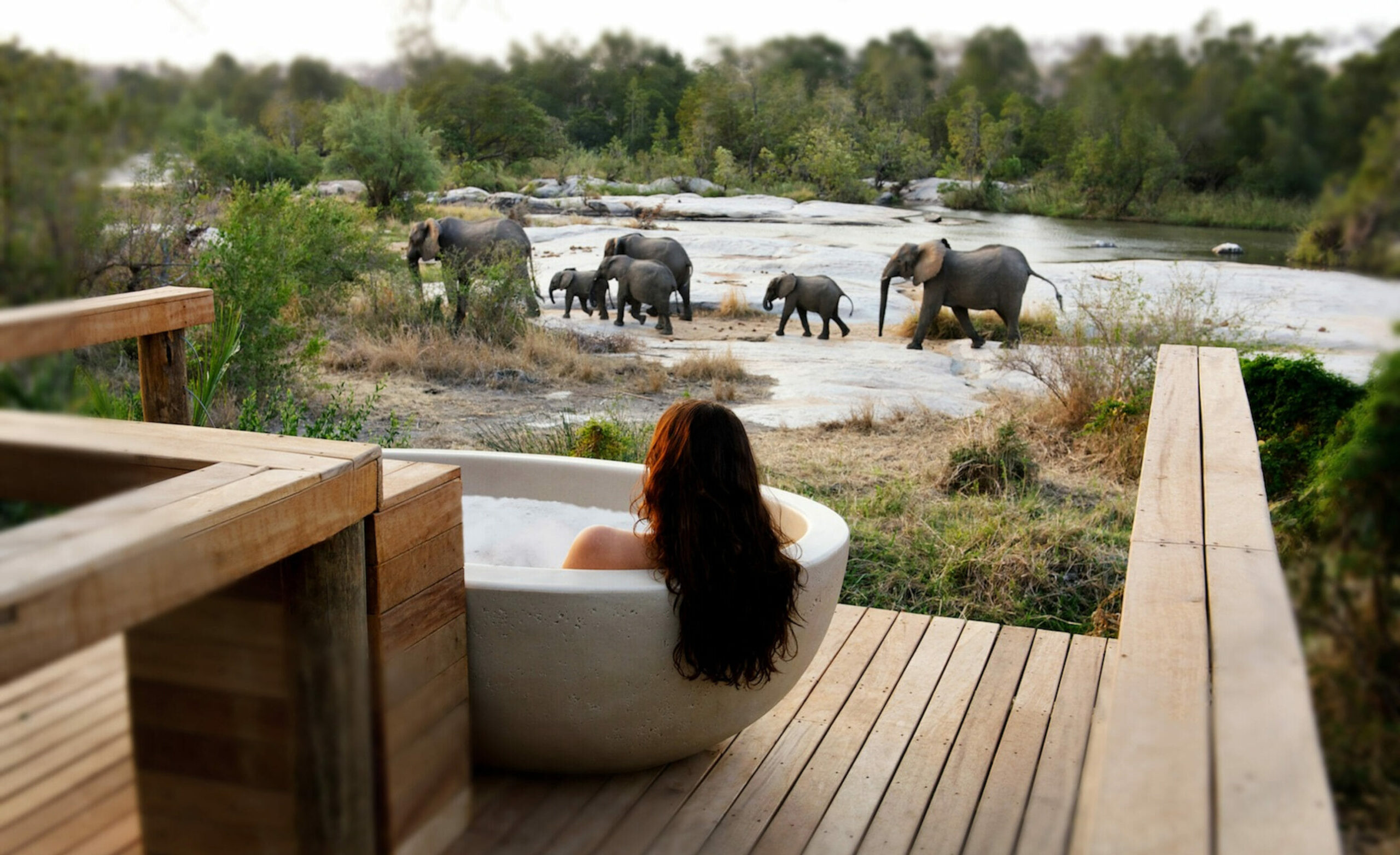 Classic Wildlife Safaris for Honeymoon Couples