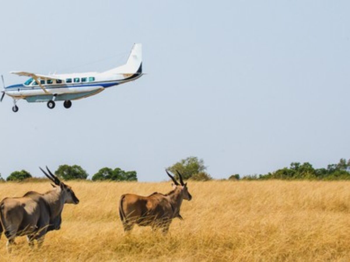 Combining Fly‑In Safaris with Zanzibar 1