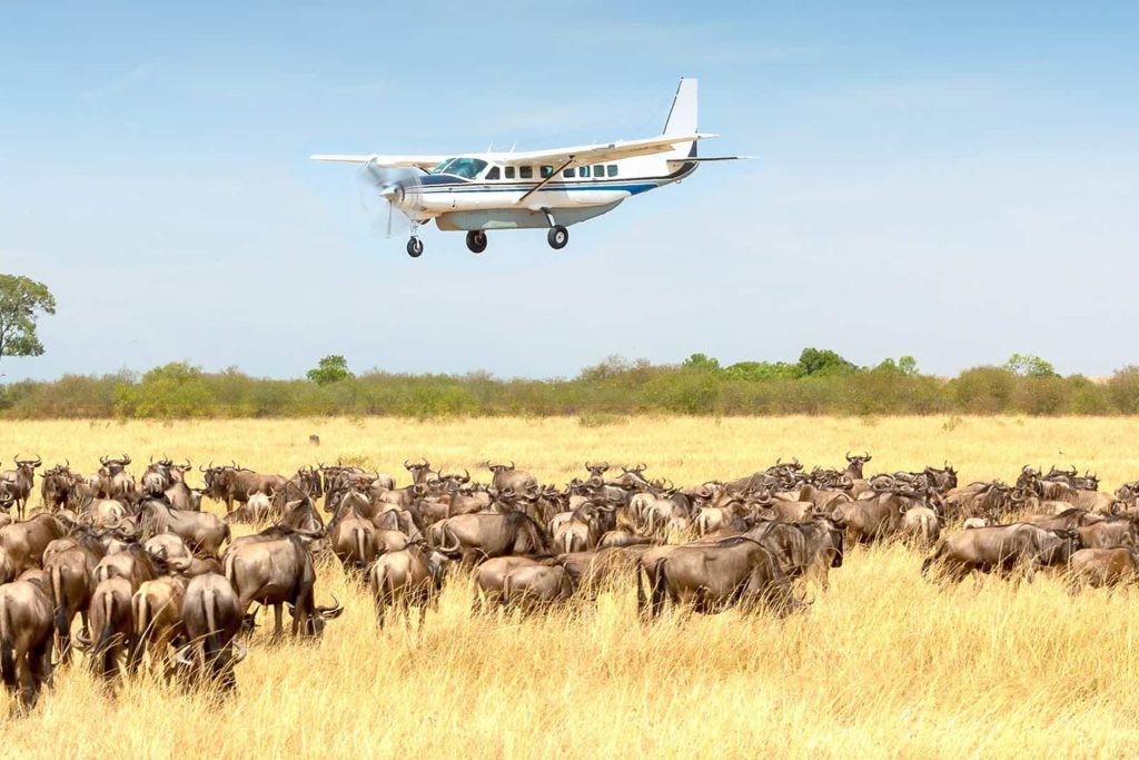 Combining Fly‑In Safaris with Zanzibar