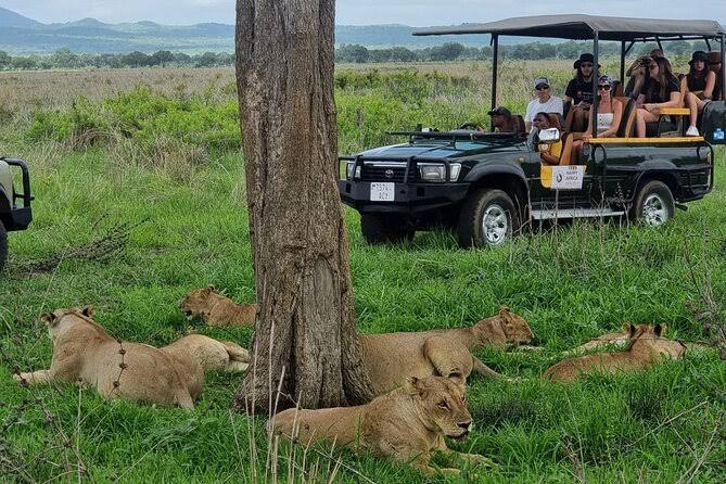 Romantic Tanzania Safari and Zanzibar Beach Escape
