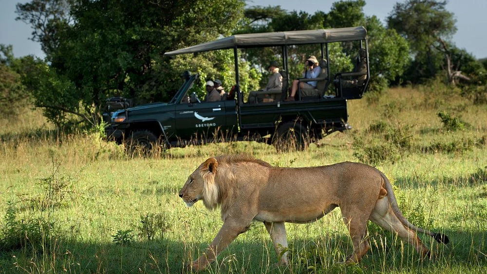 Combining a Tanzania Safari with Zanzibar
